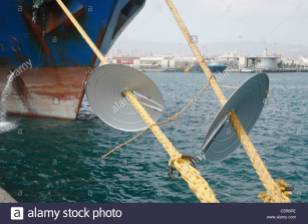 rat-guards-on-ship-mooring-ropes-to-prevent-rats-getting-aboard-c5r6pe